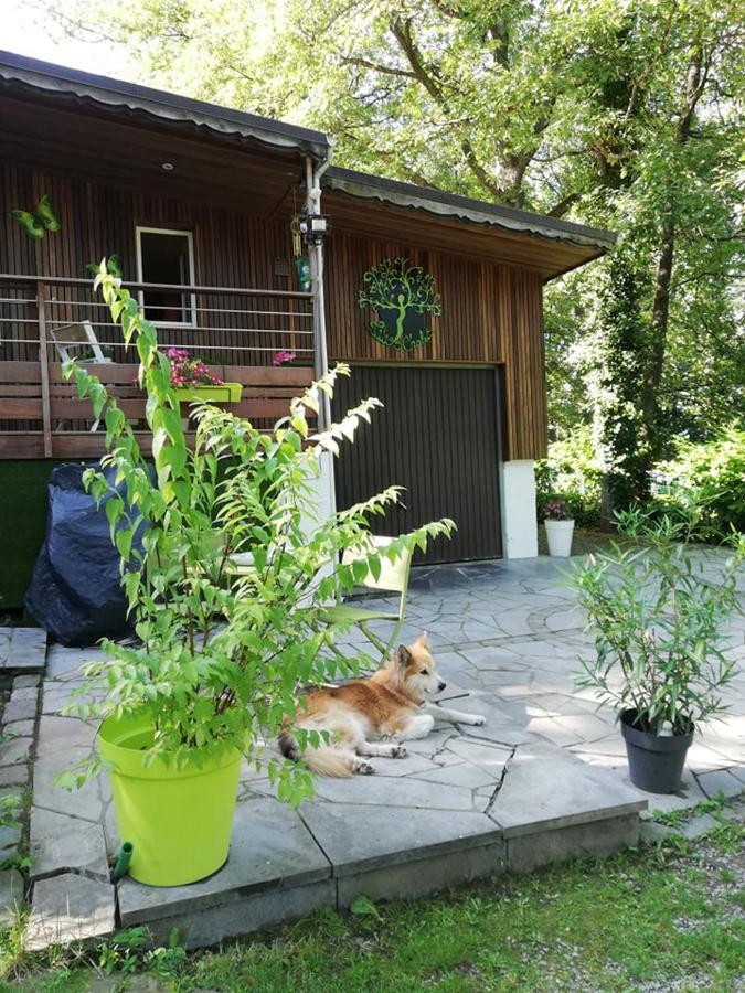 Titi'S Chalet Дюрби Екстериор снимка